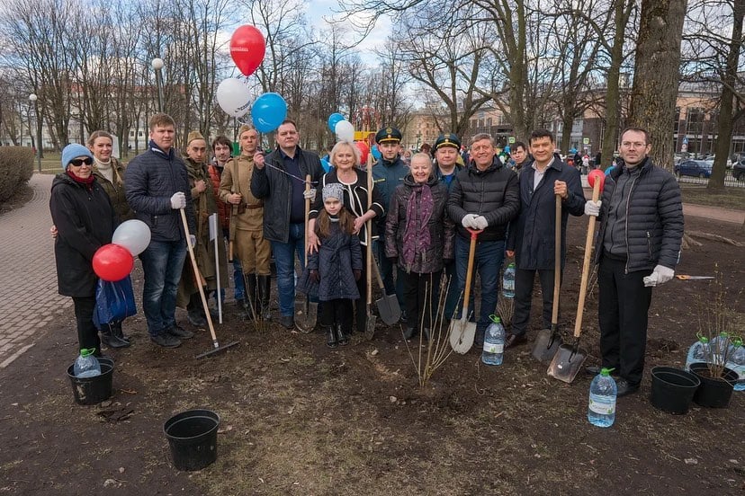 Программа по лесовосстановлению